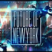The Future of New York Vol. 1