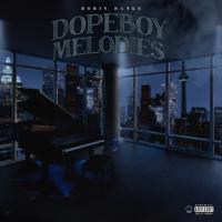 Robin Banks - Dopeboy Melodies