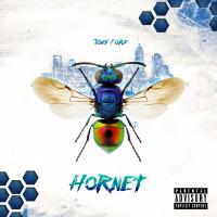 Tony Ford - Hornet