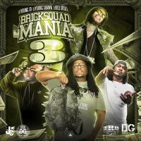 Bricksquad Mania 3