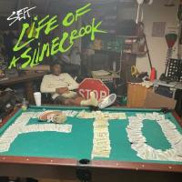 Sett - Life Of A SlimeCrook