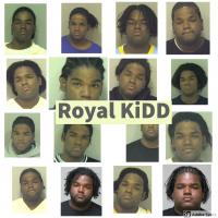 Royal KiDD