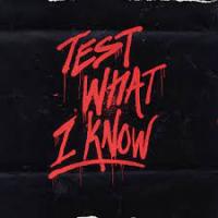 Roy Woods - Test What I Know 