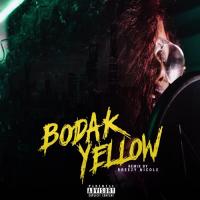 @ItsBreezyNicole - Bodak Yellow (Remix)