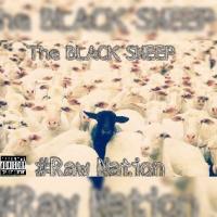 The Black Sheep