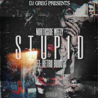 Stupid (Instrumental Mix) w Northside Weezy Freestyle