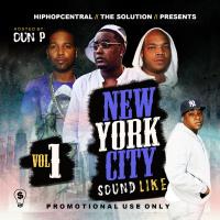 NEW YORK CITY SOUND LIKE VOL 1 ( HOSTED BY : OUN P