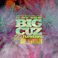 Big Cuz - The Flowering