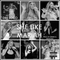 She Like Mariah [Prod. By Dee Money & Iceberg Beatz]