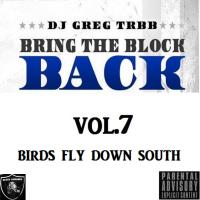 Bring The Block Back Vol.7 (Birds Fly Down South)