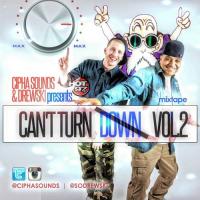 Cipha Sounds & Drewski Presents  Can't Turn Down Vol. 2