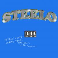 Sincerely,Steelo