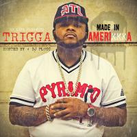 Trigga - Made In Amerikkka 2