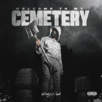BabyRisk - Welcome To My Cemetery