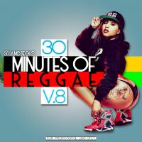 30 MINUTES OF REGGAE V.8