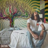 Willy J Peso - Sativa