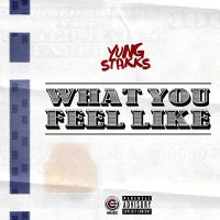 Yung Stakks - What You Feel Like