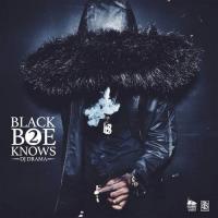 DJ Drama & Quez - Black Boe Knows 2