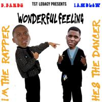 B.Bandz "Wonderful Feeling" ft IamDLow