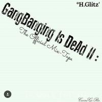 GangBanging Is DeAd 2:The Official Mix-Tape