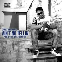 James Swetmusic - Aint No tellin