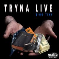 Bigg Tiny @biggtiny - Tryna Live