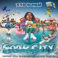 310babii - Soak City