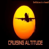 Cruising Altitude