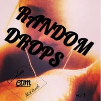 Random Drops vol 1